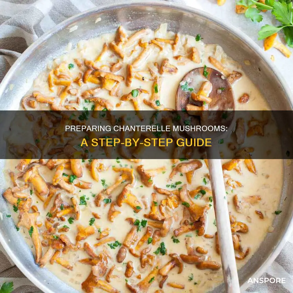 how to prepare chanterelle mushrooms