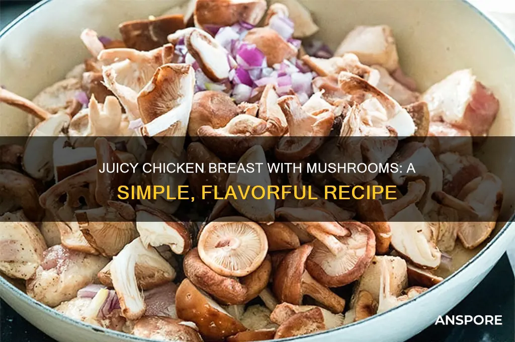 how to prepare chicken breast with mushrooms