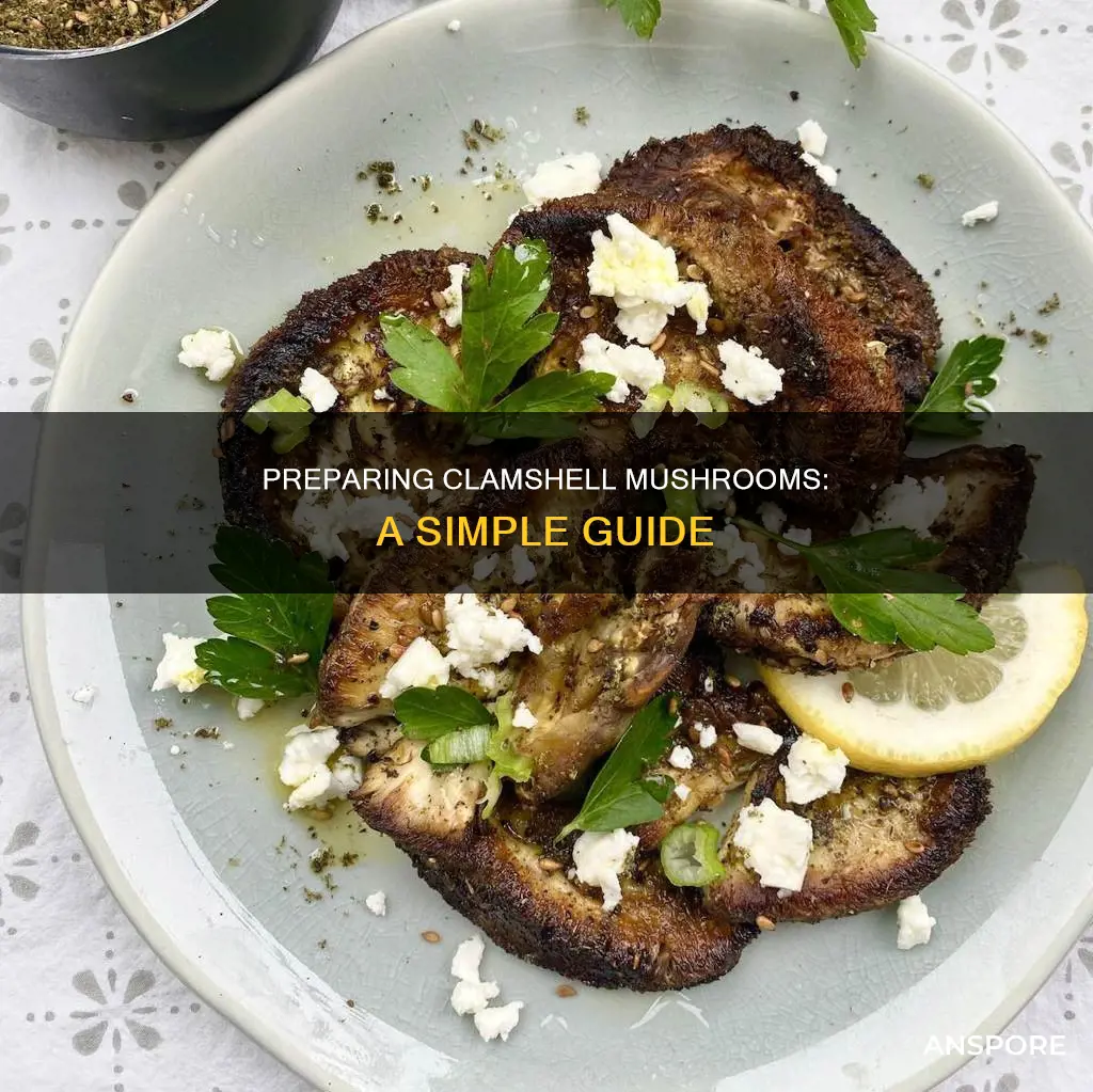 how to prepare clamshell mushrooms