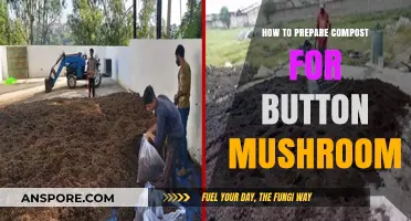 Mastering Compost Preparation for Optimal Button Mushroom Cultivation