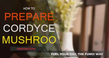Preparing Cordyceps Mushrooms: A Step-by-Step Guide