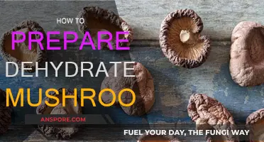 Dehydrated Mushrooms: Preparation and Storage Tips