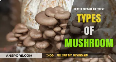 Mastering Mushroom Magic: A Guide to Preparing Varieties Perfectly