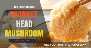 Mastering the Art of Preparing Dried Monkey Head Mushrooms at Home