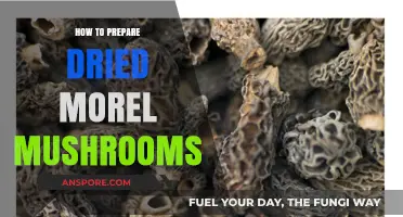 Mastering Morel Magic: A Guide to Preparing Dried Morel Mushrooms