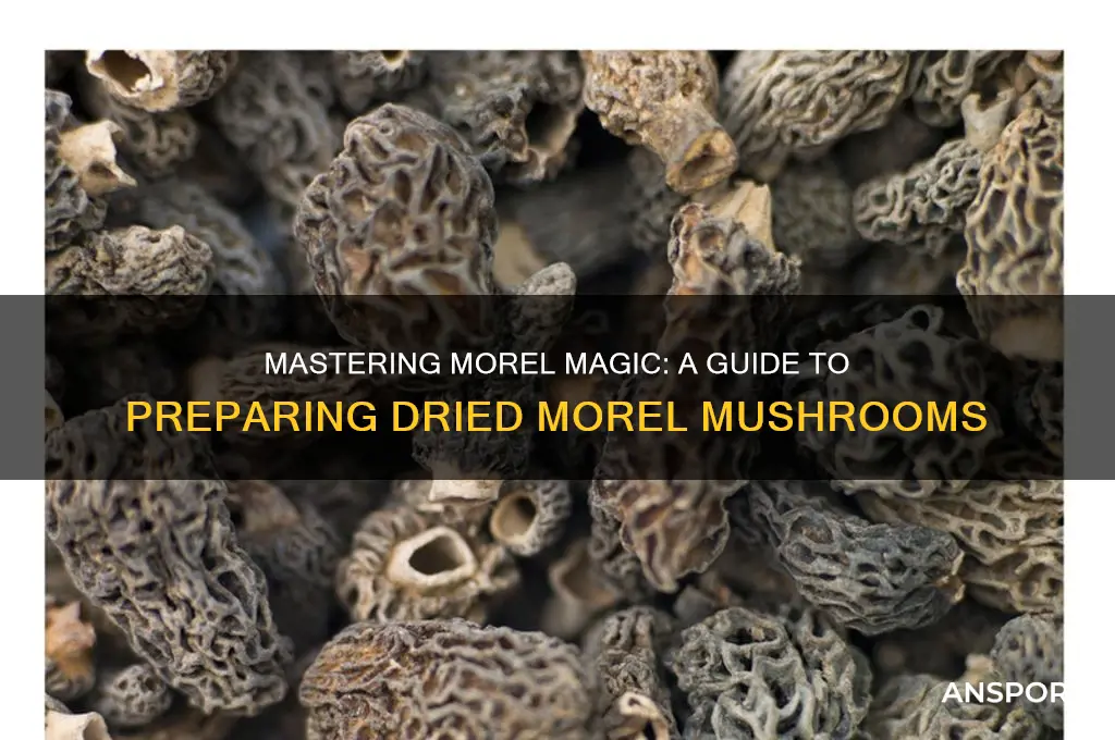 how to prepare dried morel mushrooms