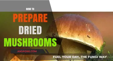 Preparing Dried Mushrooms: A Simple Guide to Deliciousness