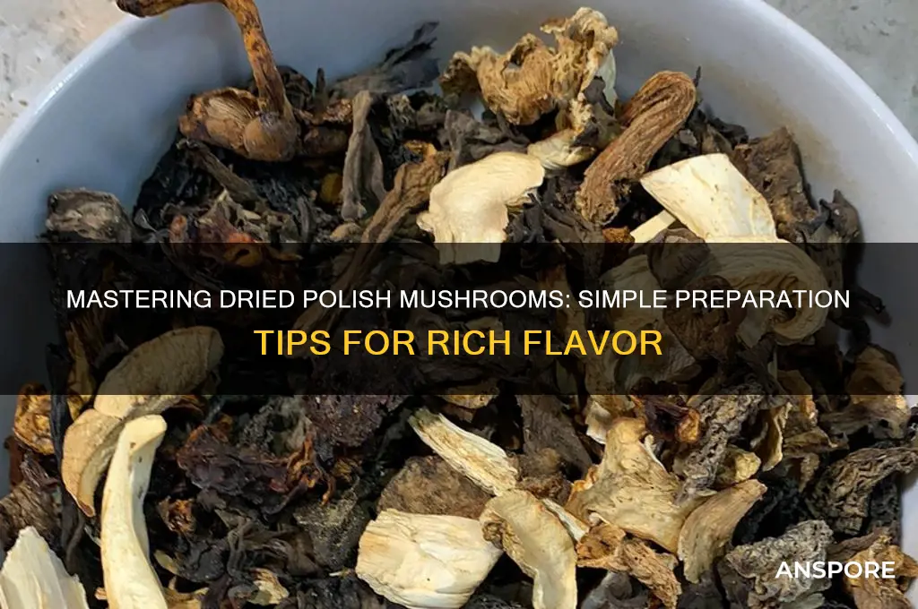how to prepare dried polish mushrooms