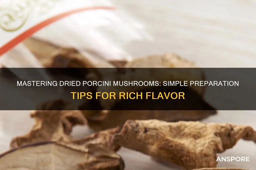 how to prepare dried porcini mushrooms