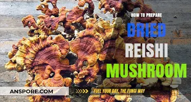 Mastering Dried Reishi Preparation: Simple Steps for Optimal Benefits