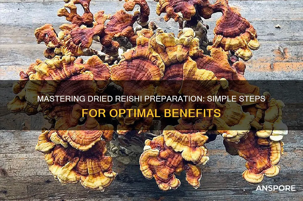 how to prepare dried reishi mushrooms