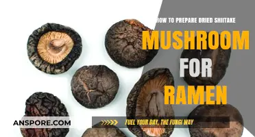 Perfectly Prepped Dried Shiitake Mushrooms for Ramen: A Simple Guide