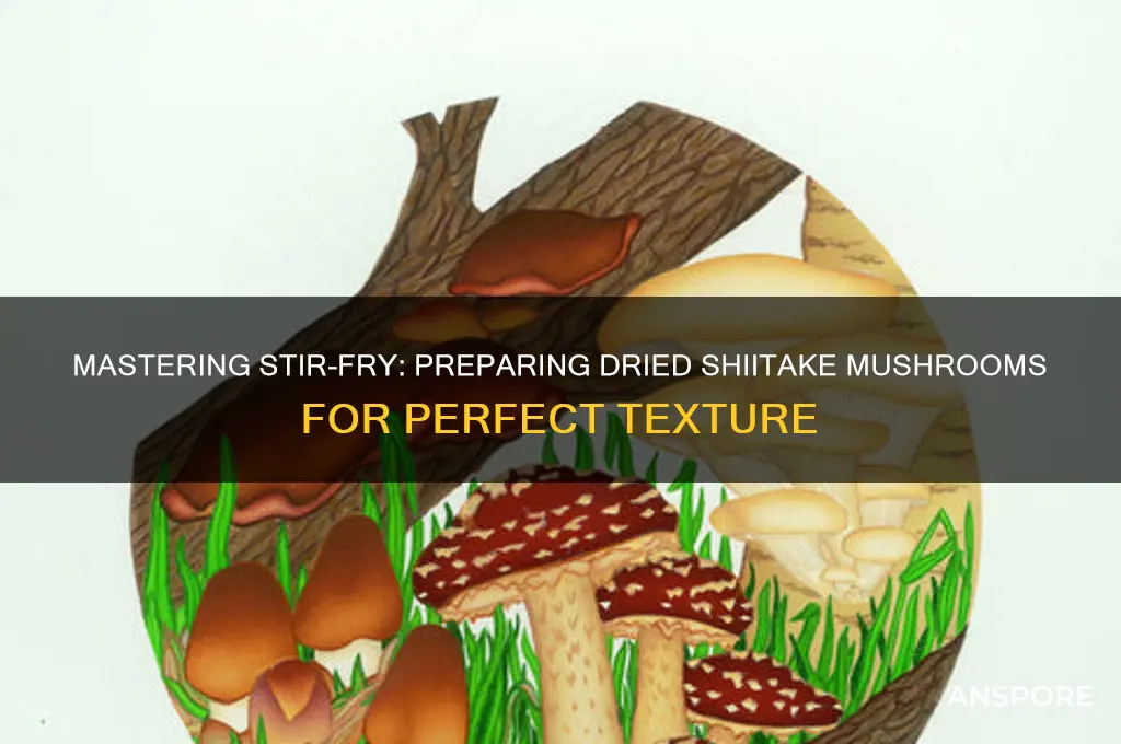 how to prepare dried shiitake mushrooms for stir fry