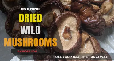 Revive Your Dried Wild Mushrooms: A Simple Preparation Guide