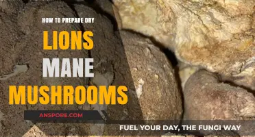 Mastering Dry Lion's Mane Mushrooms: Preparation Tips for Optimal Flavor