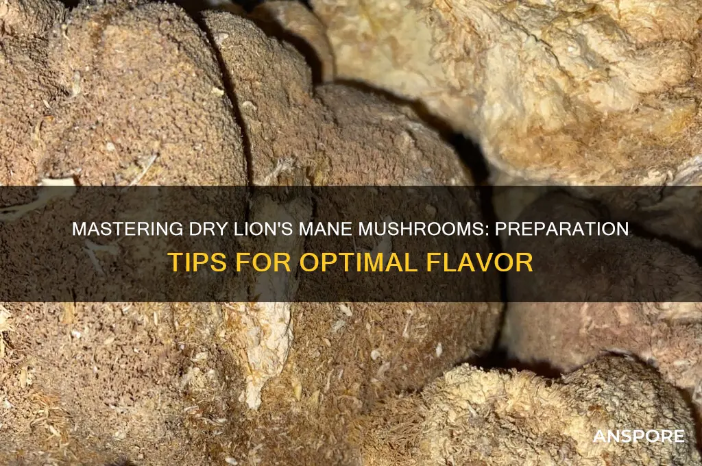 how to prepare dry lions mane mushrooms