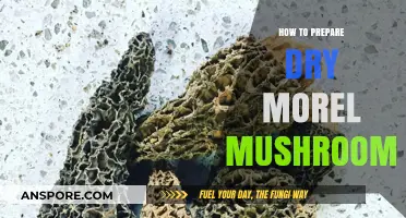 Mastering Dry Morel Mushrooms: Simple Preparation Tips for Rich Flavor