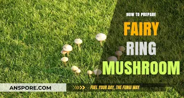 Mastering the Art of Preparing Fairy Ring Mushrooms: A Culinary Guide