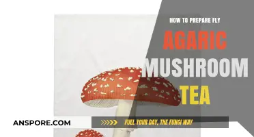 Brewing Fly Agaric Mushroom Tea: A Step-by-Step Preparation Guide