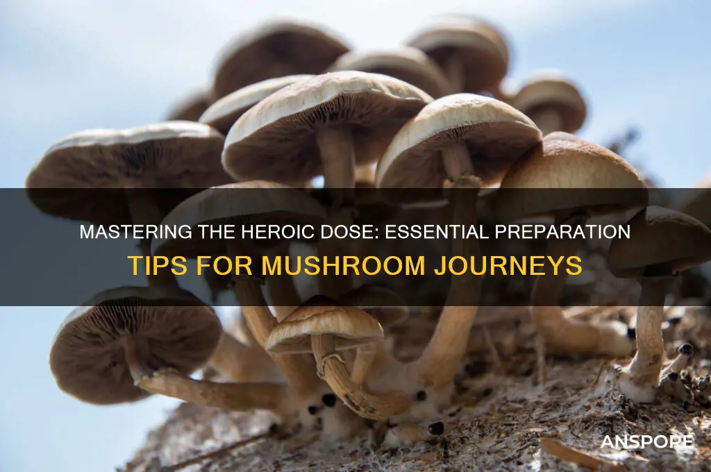 how to prepare for a heroic dose of mushrooms