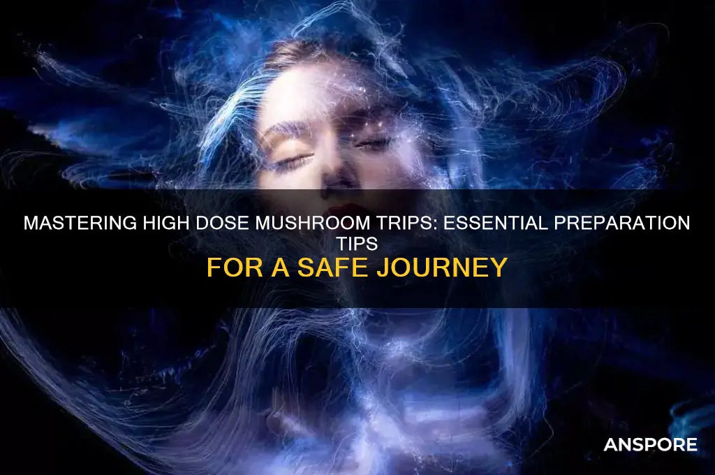how to prepare for a high dose mushroom trip