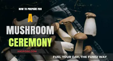 Preparing Mindfully: A Guide to Mushroom Ceremony Readiness