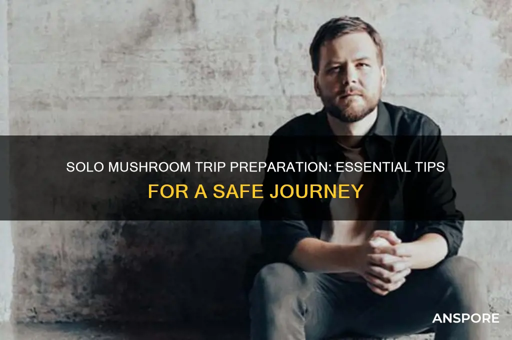 how to prepare for a solo mushroom trip
