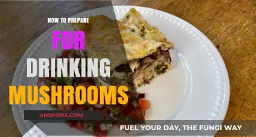 Preparing for a Mushroom Journey: Essential Tips for a Safe Experience