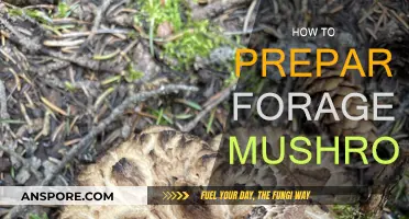Foraged Mushrooms: A Guide to Preparation