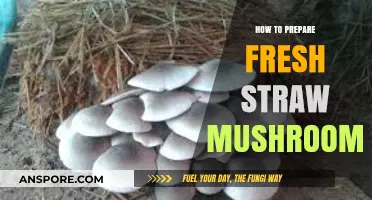 Mastering Fresh Straw Mushroom Prep: Simple Steps for Perfect Results