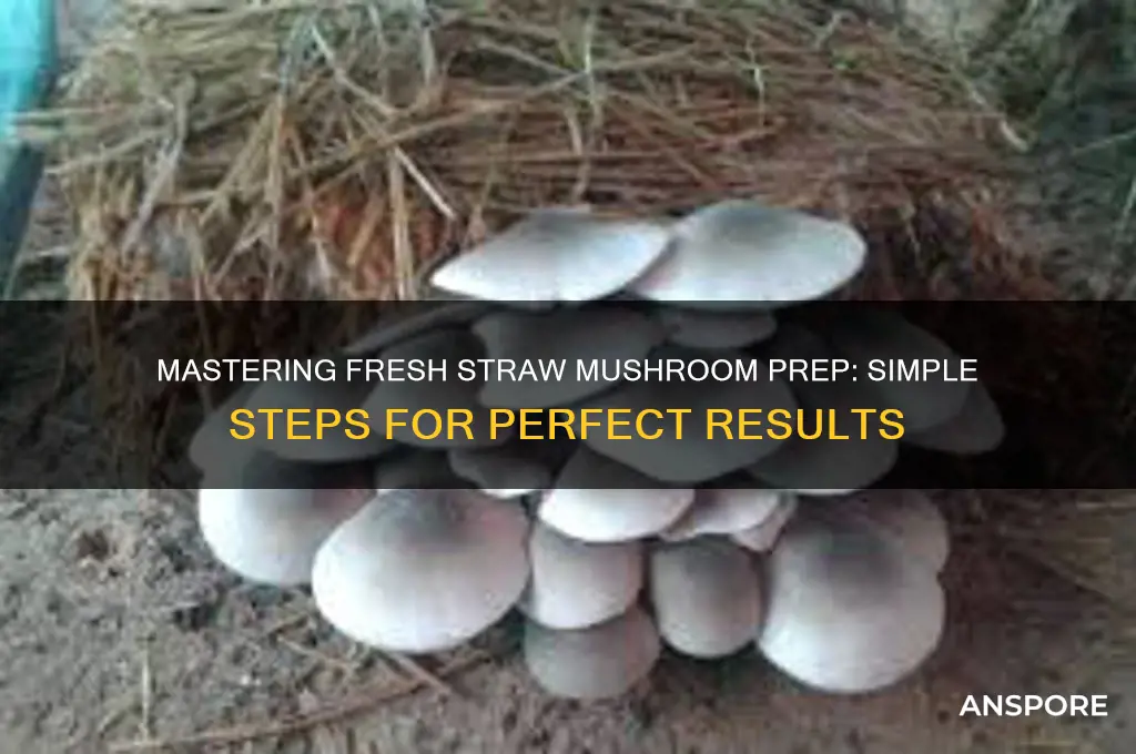 how to prepare fresh straw mushrooms
