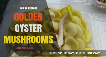 Mastering Golden Oyster Mushrooms: Simple Preparation Tips for Perfect Results