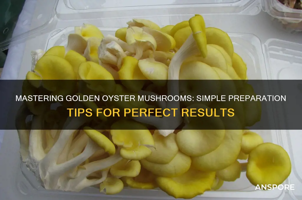 how to prepare golden oyster mushrooms
