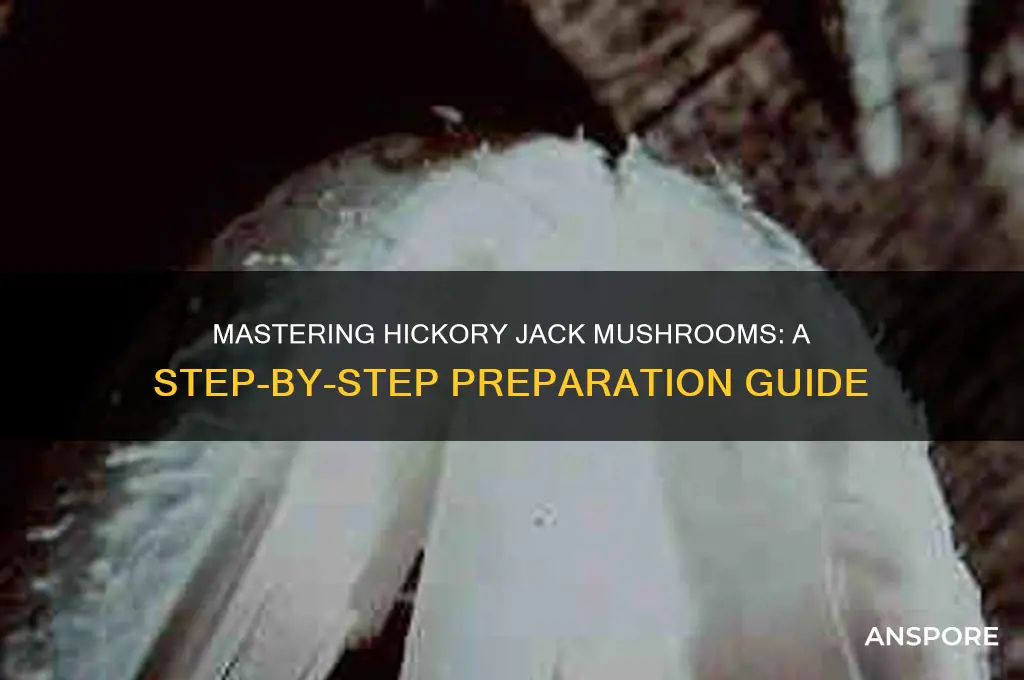 how to prepare hickory jack mushrooms