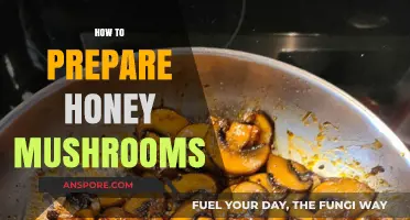 Preparing Honey Mushrooms: A Step-by-Step Guide