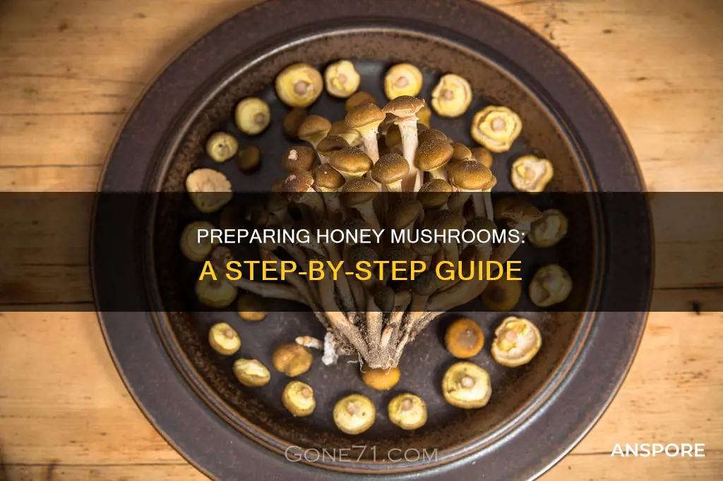 how to prepare honey mushrooms