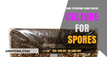 Mastering Honey Water Culture: A Step-by-Step Guide for Spores