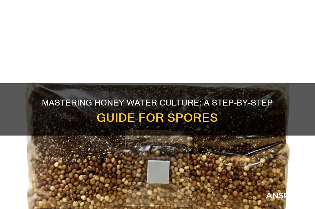 how to prepare honey water culture for spores