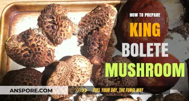 Mastering King Bolete Preparation: A Step-by-Step Culinary Guide