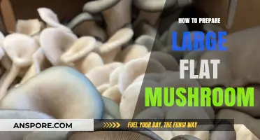 Mastering the Art of Preparing Large Flat Mushrooms: Tips and Tricks