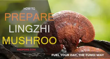 Preparing Lingzhi Mushrooms: A Step-by-Step Guide