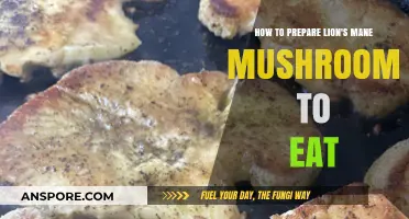 Lion's Mane Mushrooms: Simple Preparation Tips for Delicious Culinary Use