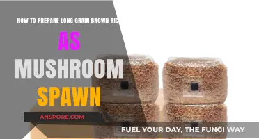 Growing Mushrooms: Preparing Long Grain Brown Rice as Spawn