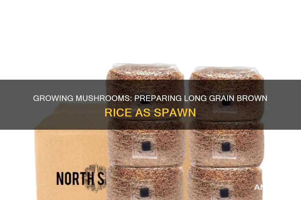 how to prepare long grain brown rice as mushroom spawn