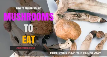 Preparing Magic Mushrooms: A Safe and Delicious Consumption Guide