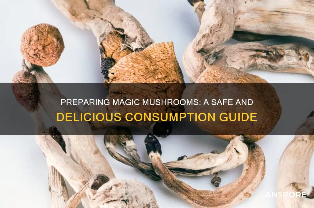how to prepare magic mushrooms to eat