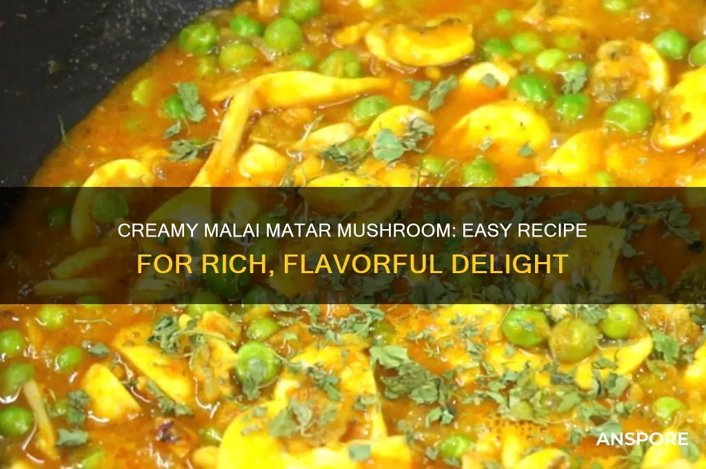how to prepare malai matar mushroom