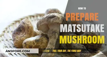 Preparing Matsutake Mushrooms: A Step-by-Step Guide