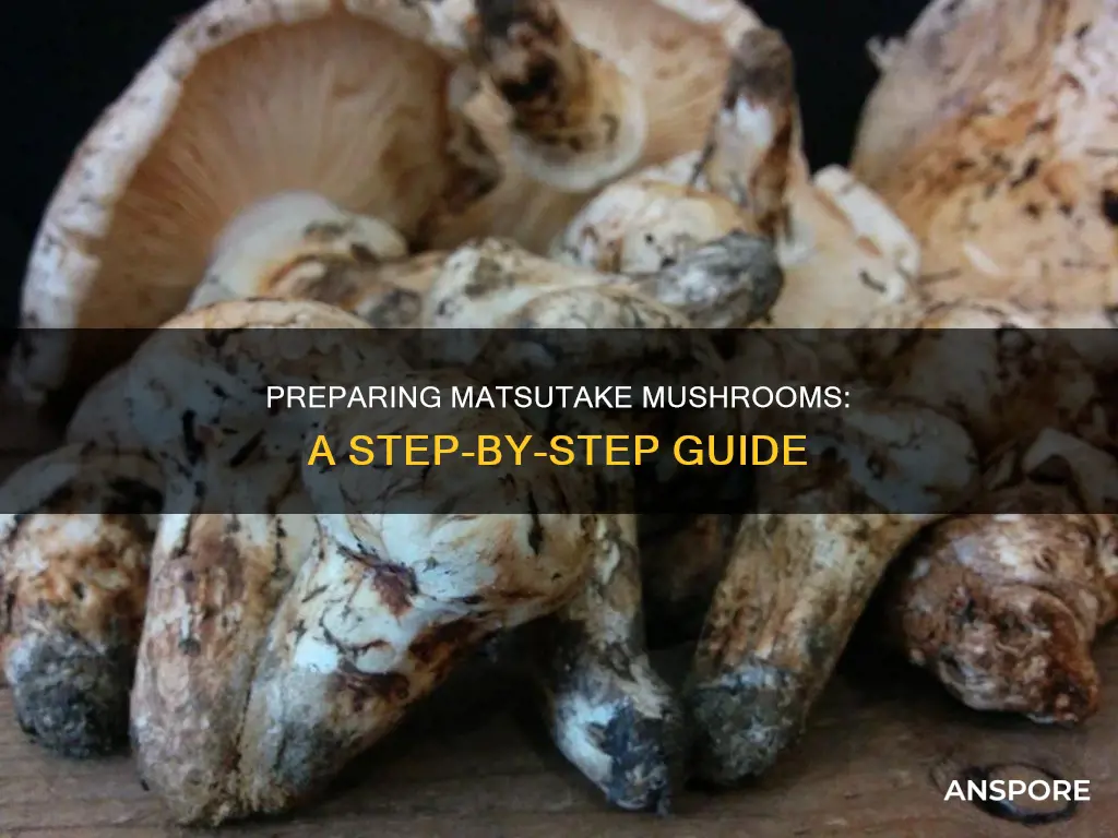 how to prepare matsutake mushroom