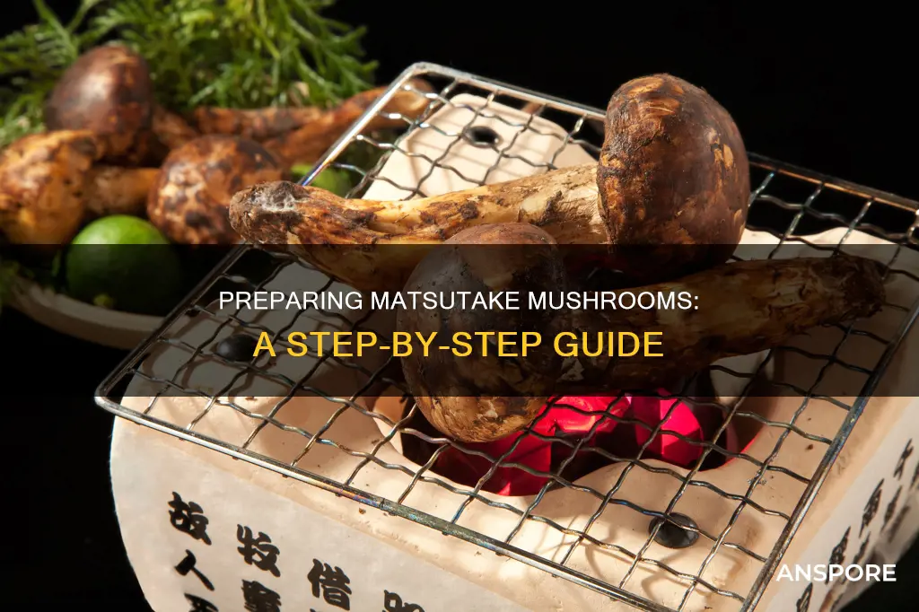 how to prepare matsutake mushrooms
